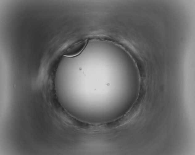 X0000113751159200910071100