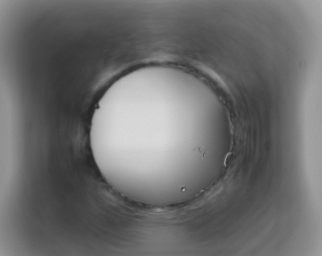 X0000113751160200910071100