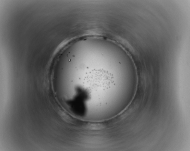 X0000113751168200910071100