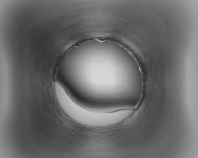 X0000113751169200910071100