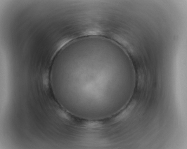 X0000113751170200910071100