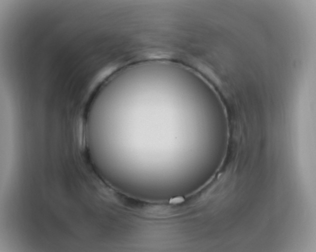 X0000113751171200910071100