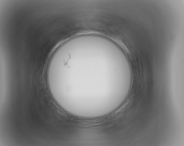 X0000113751173200910071100