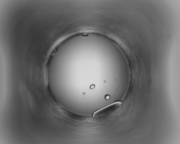 X0000113751175200910071100