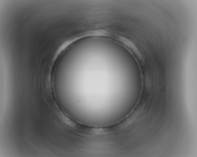 X0000113751176200910071100