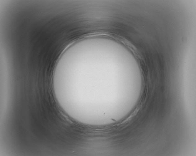 X0000113751177200910071100