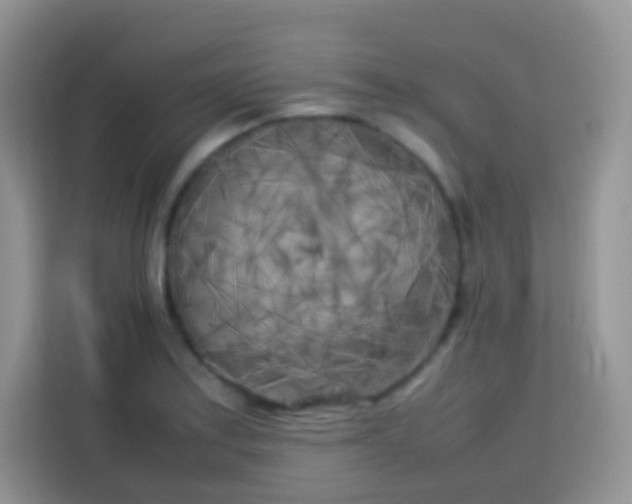 X0000113751179200910071100