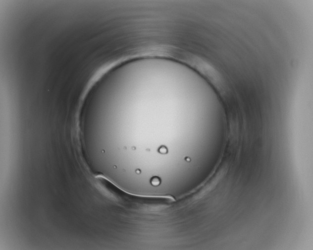 X0000113751184200910071100