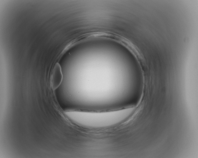 X0000113751185200910071100