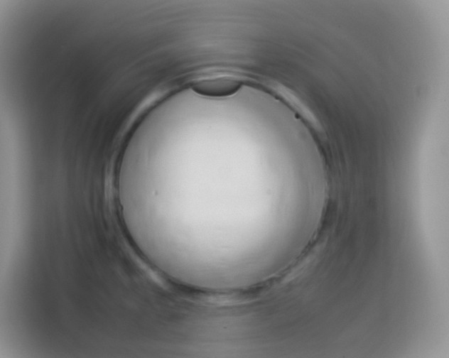 X0000113751189200910071100