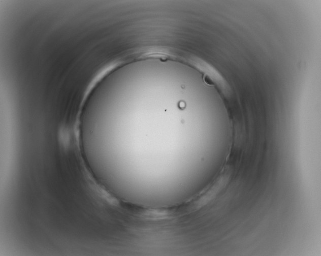 X0000113751190200910071100