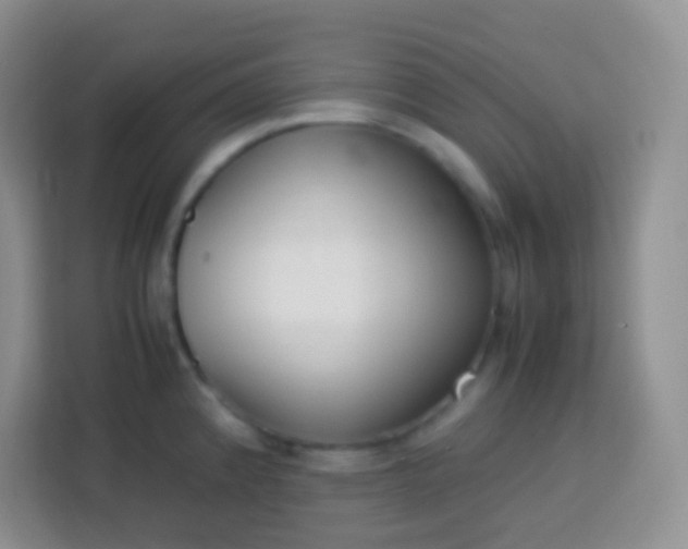 X0000113751192200910071100