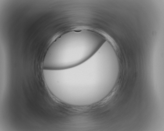 X0000113751193200910071100