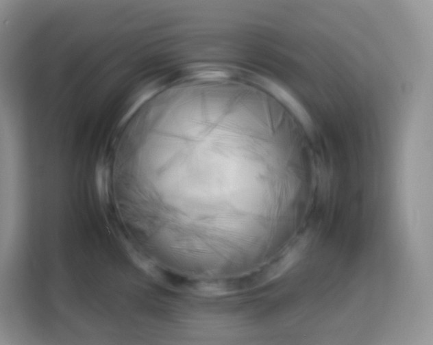 X0000113751194200910071100