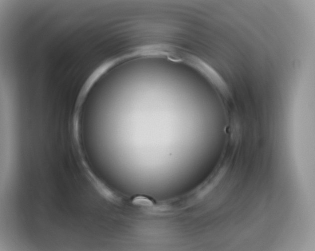 X0000113751196200910071100