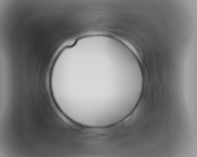 X0000113751197200910071100