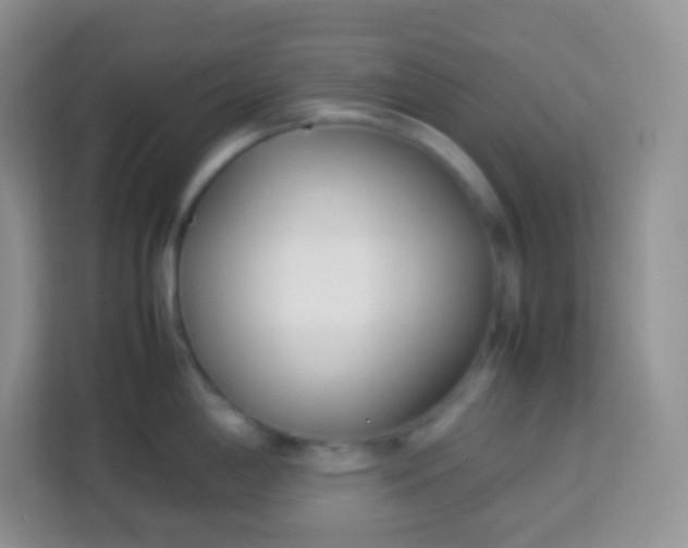 X0000113751198200910071100