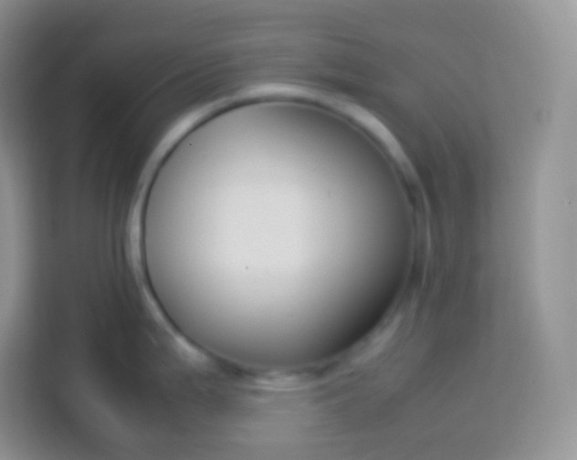 X0000113751199200910071100