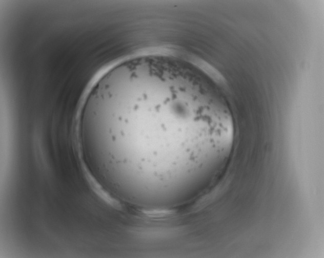 X0000113751200200910071100