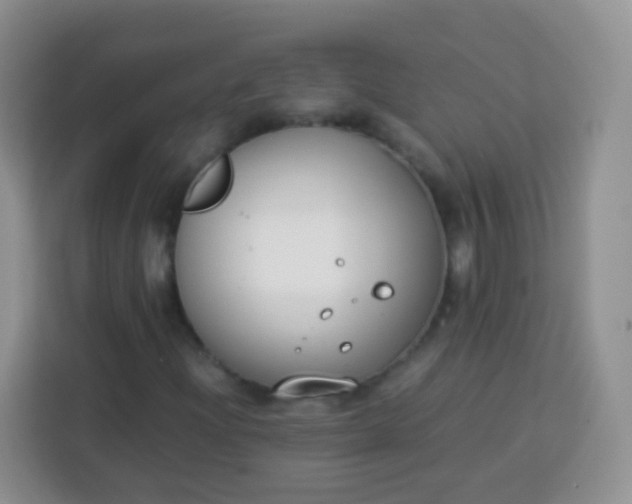 X0000113751204200910071059