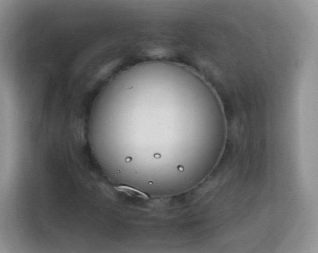 X0000113751205200910071059