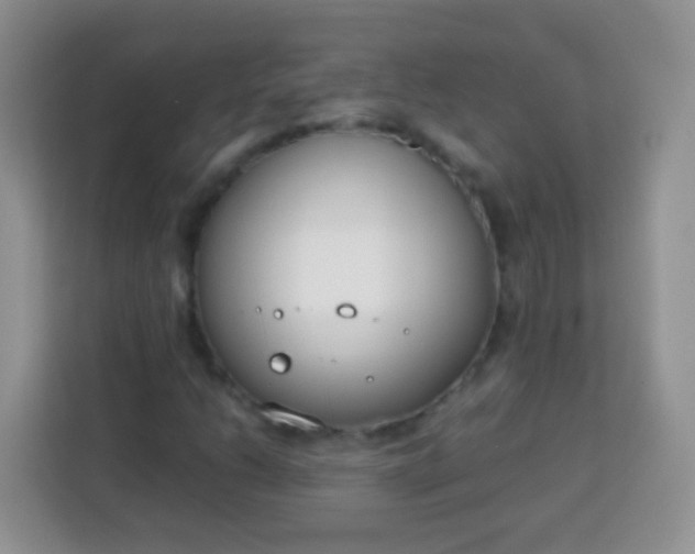 X0000113751206200910071059