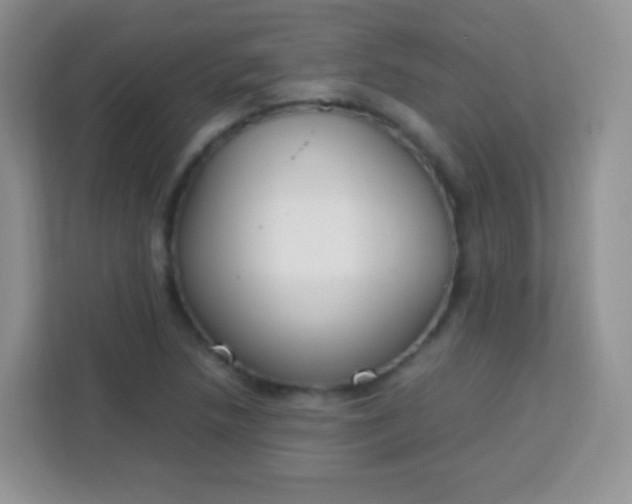 X0000113751218200910071059