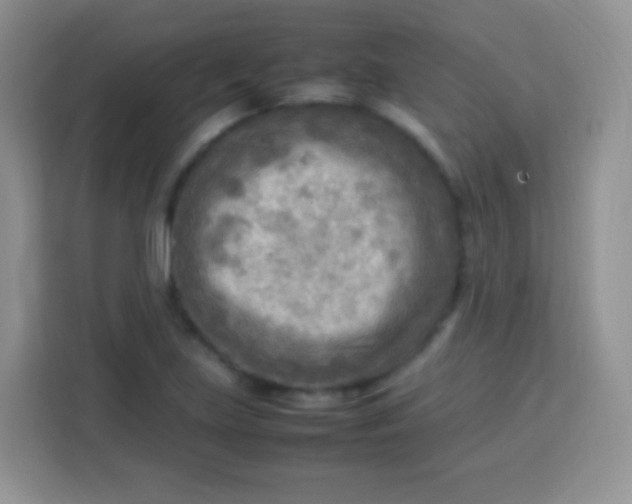 X0000113751219200910071059