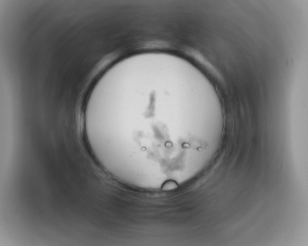 X0000113751221200910071059