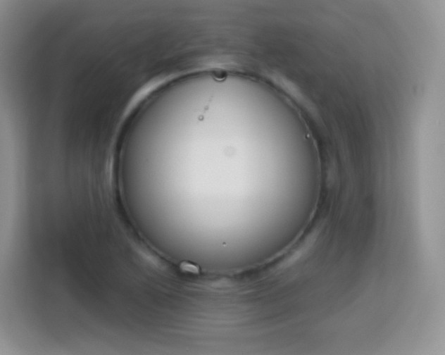 X0000113751222200910071059