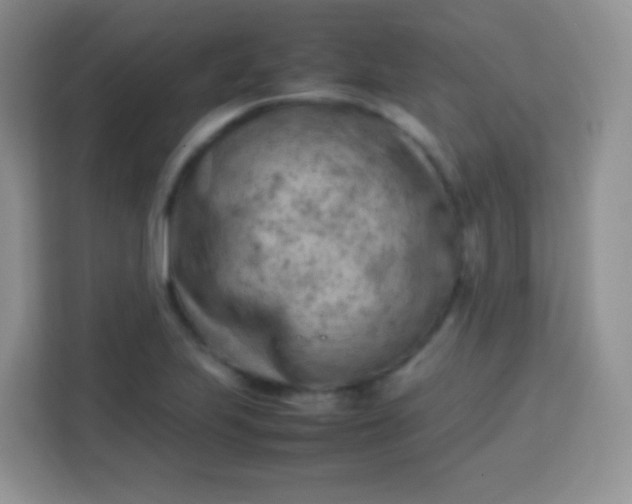 X0000113751223200910071059