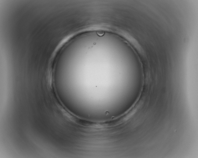 X0000113751224200910071059