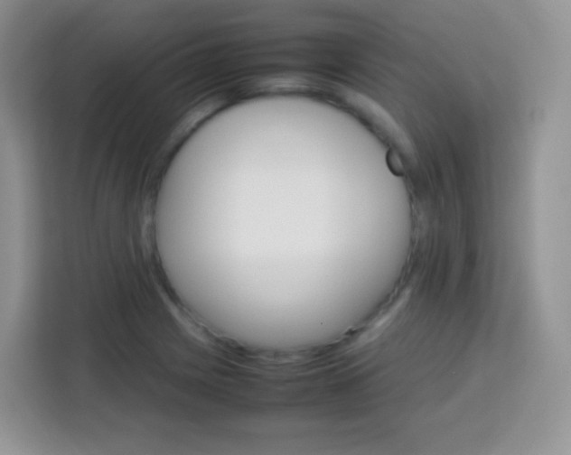 X0000113751225200910071059