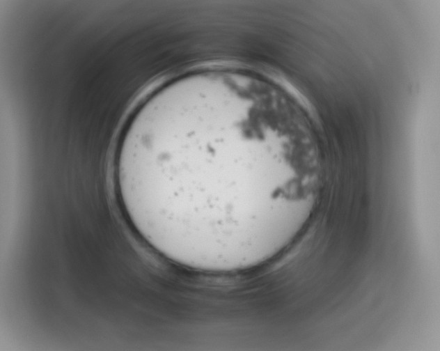 X0000113751229200910071059