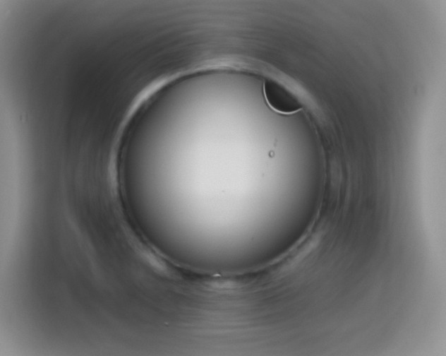 X0000113751230200910071059