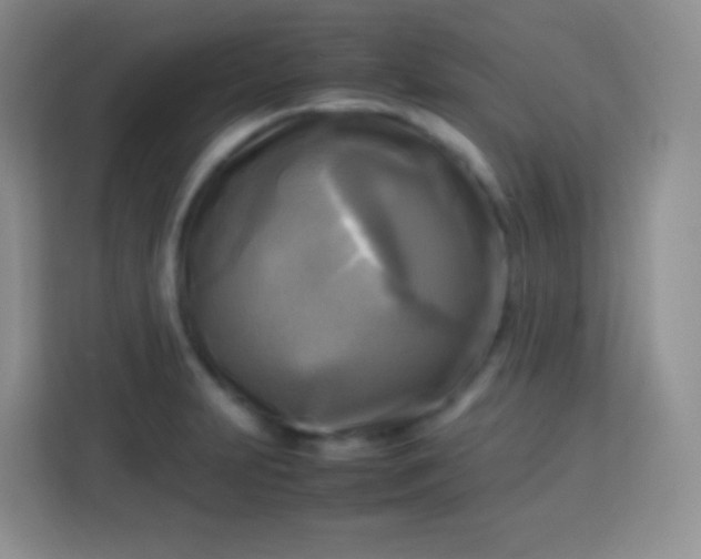 X0000113751231200910071059