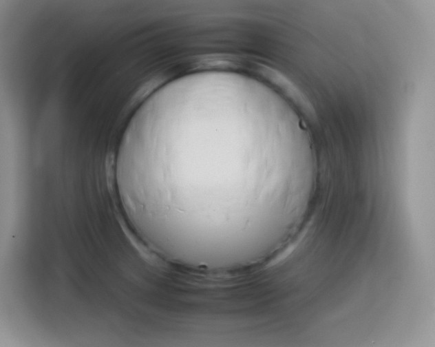 X0000113751233200910071059