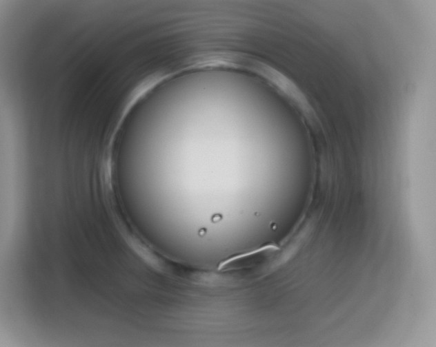 X0000113751234200910071059