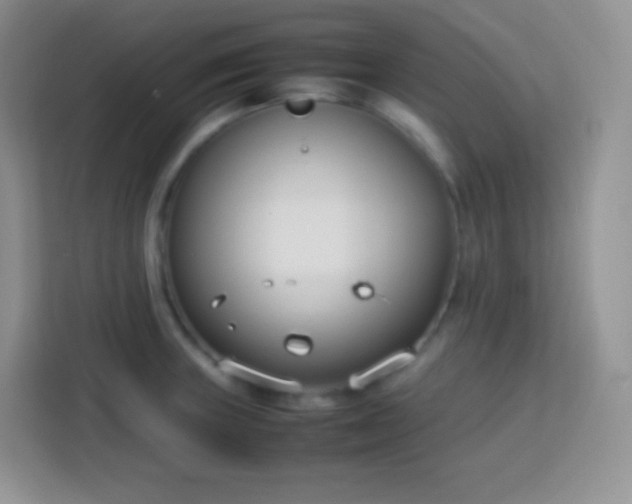 X0000113751235200910071059