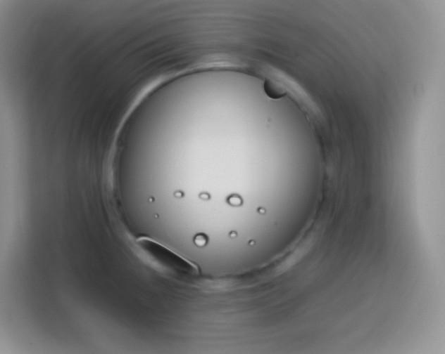 X0000113751236200910071059