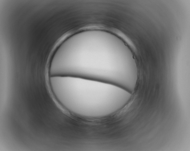 X0000113751237200910071059