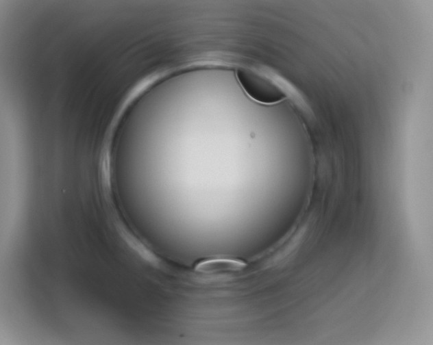 X0000113751238200910071059