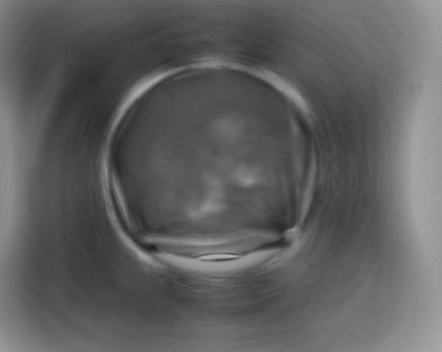 X0000113751239200910071059