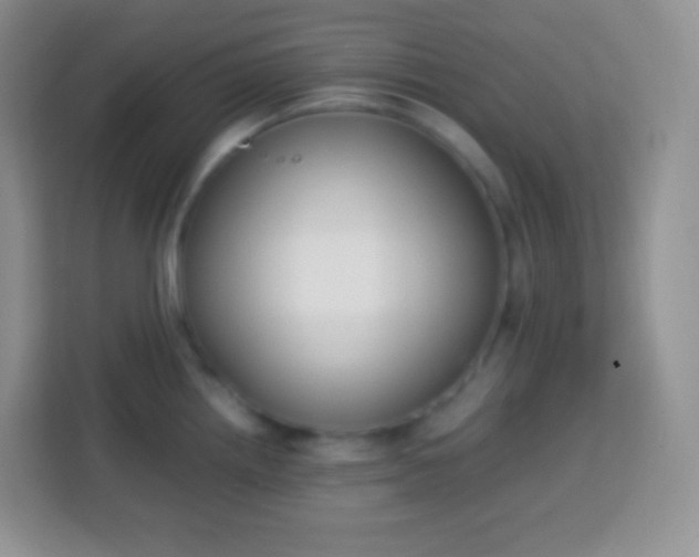 X0000113751242200910071059