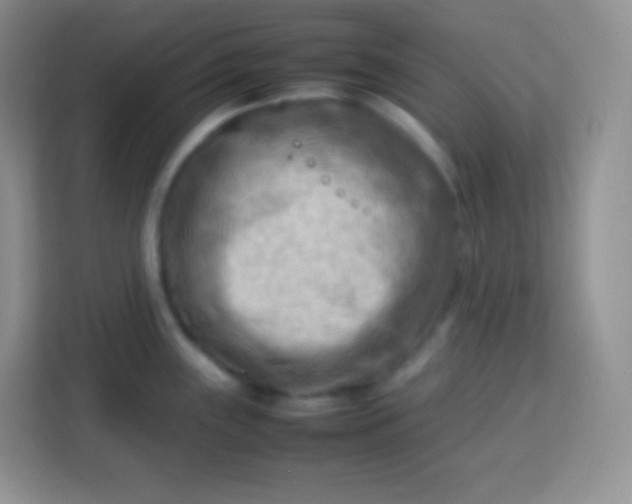 X0000113751243200910071059