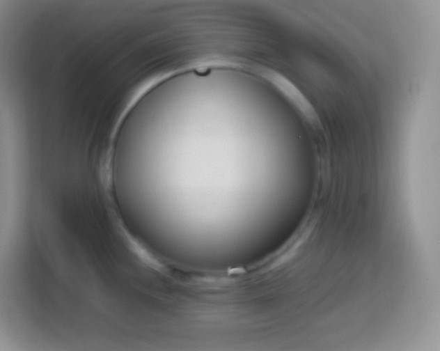 X0000113751244200910071059