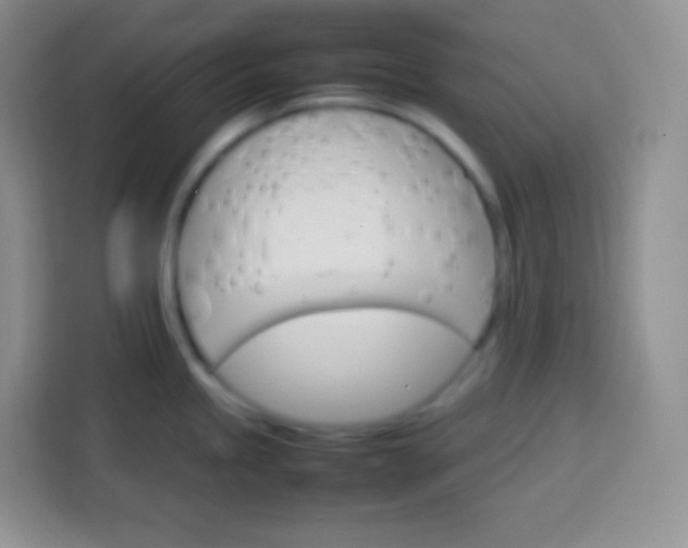 X0000113751245200910071059