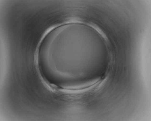 X0000113751246200910071059