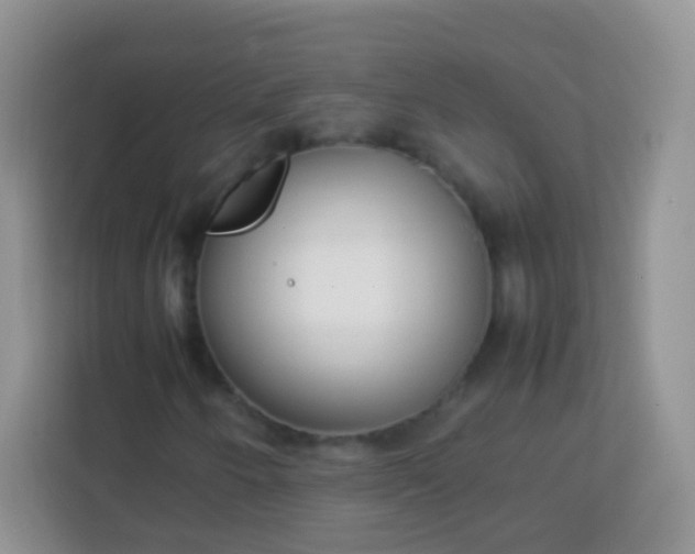 X0000113751250200910071059