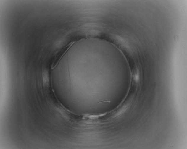 X0000113751252200910071059